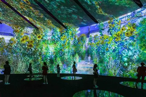 Подсолнухи Моне во время выставки Beyond Monet