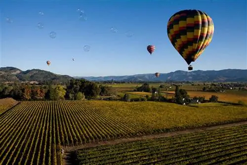 Воздушные шары над Напой