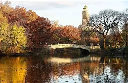 Боу-Бридж, люди наслаждаются осенней листвой в Центральном парке в Нью-Йорке, США, 10 ноября 2020 года.
