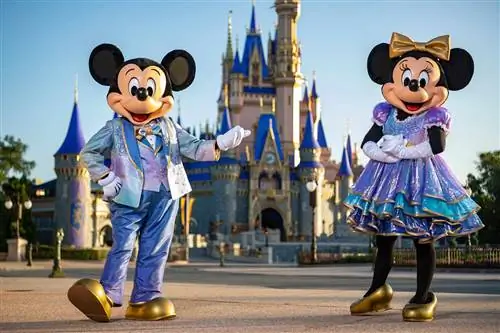 Микки Маус и Минни Маус перед замком Золушки в W alt Disney World Resort