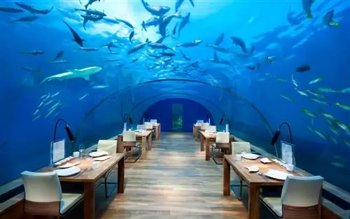 Ithaa Underwater Dining, отель Conrad, Мальдивы