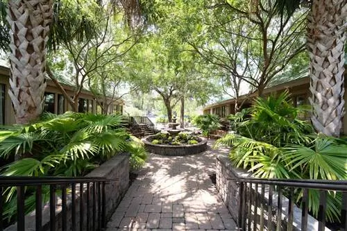 Сад в отеле Hilton Head He alth