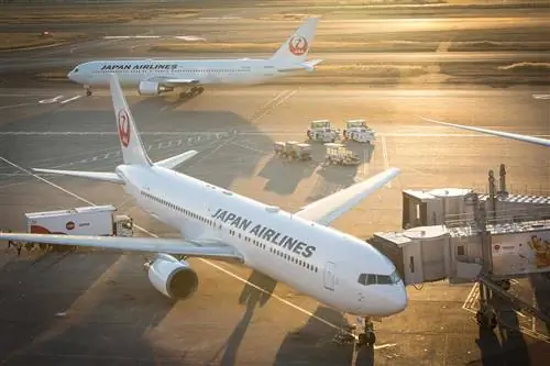 Самолеты Japan Airlines (JAL) в Терминале 1 аэропорта Ханеда