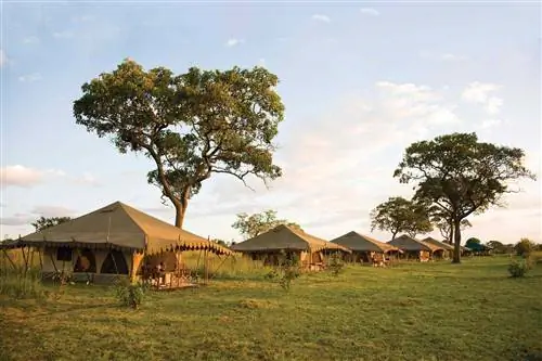 Гостевые палатки, увиденные на прогулке с Thomson Safaris, признаны одним из лучших поставщиков снаряжения для сафари в мире.
