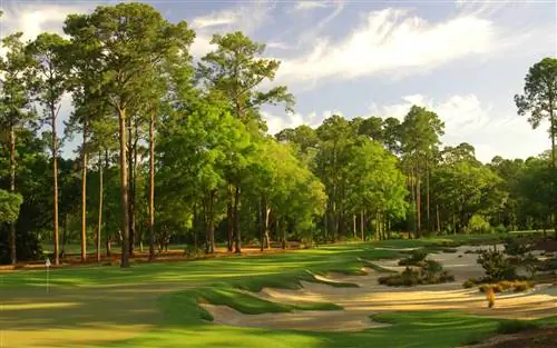 Идеи для путешествий для пенсионеров-энтузиастов активного отдыха