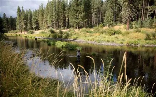 Идеи для путешествий для пенсионеров-энтузиастов активного отдыха