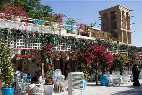 Внешний вид ресторана и кафе Arabian Tea House