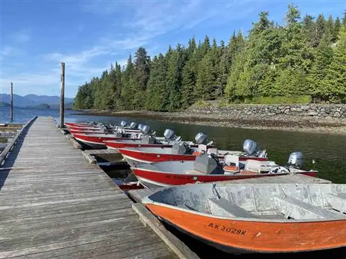 Самоуправляемые лодки в доке Лососевого водопада в Кетчикане, Аляска.