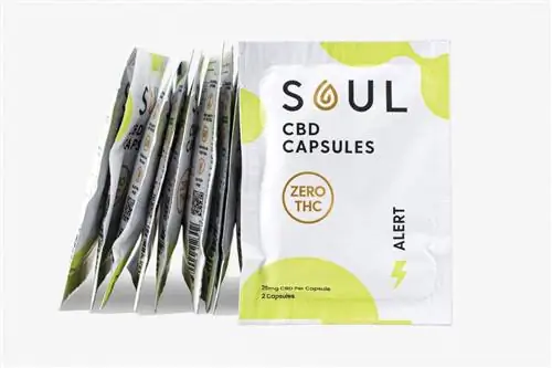 Капсулы Soul CBD в дорожных упаковках