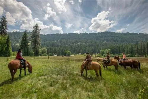 Верховая езда в The Minam River Lodge