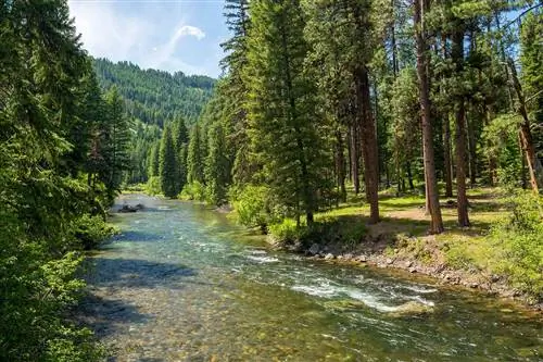 Река в The Minam River Lodge