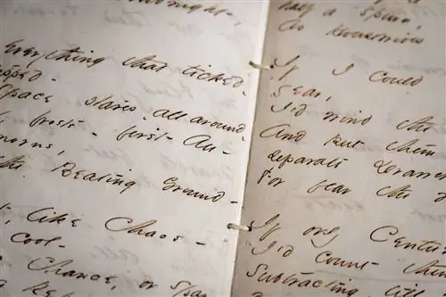 Фрагмент репродукции рукописи Эмили Дикинсон в ее бывшем доме.