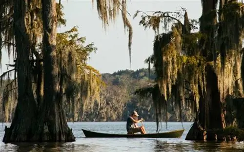 Мужчина плывет на каяке по озеру Мартин в Луизиане, с деревьев свисает испанский мох.