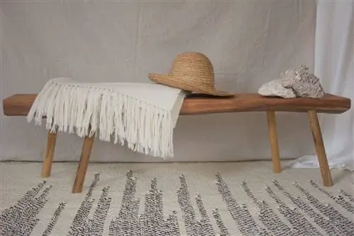 Круз Тапис из MAYDI