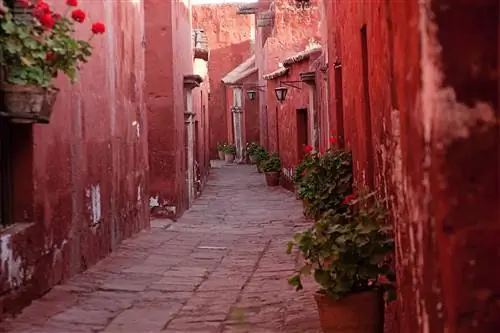 Путеводитель по Буэнос-Айресу