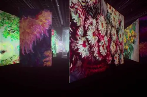 Интерьер Моне у воды