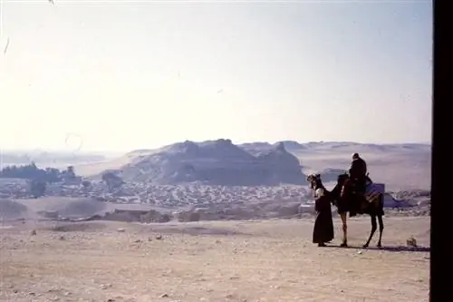 Архивное путевое фото верблюда в пустыне