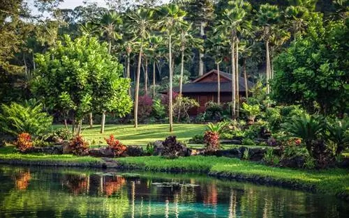 Four Seasons Lanai в Коэле, ретрит сэнсэев