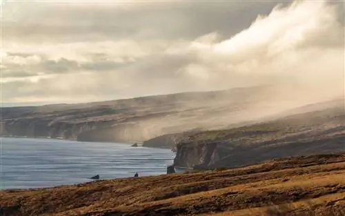 Four Seasons Lanai в Коэле, ретрит сэнсэев