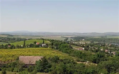 Вид из винной страны Этьек в Венгрии