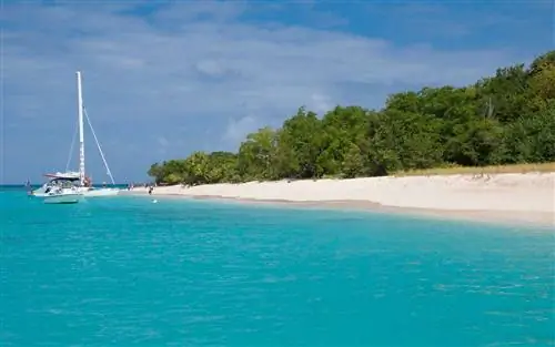 Бак-Айленд, Санта-Крус, USVI