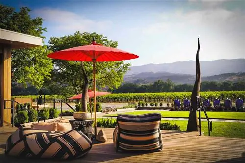 Лаундж снаружи и вид на виноградники в Bann at Oak Knoll Napa