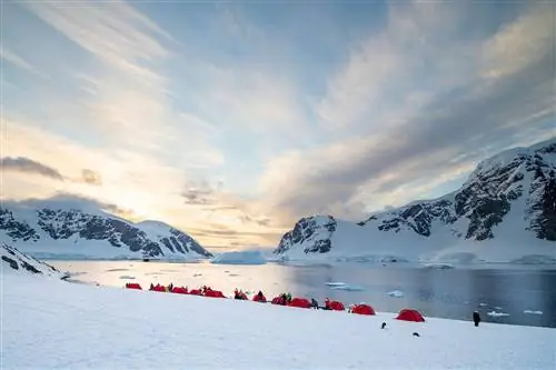 Остров Данко Антарктис, кроме Hurtigruten Expeditions