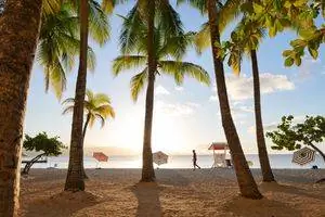 Полосатые пляжные зонтики на закате на пляже Докторс-Кейв в Монтего-Бей, Ямайка