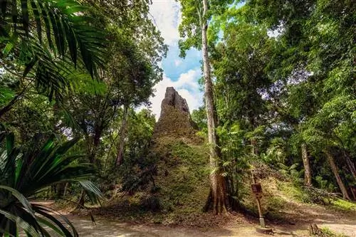 навес-тур-гватемала-тикаль-национальный парк-ADVENTUREVACAY0521