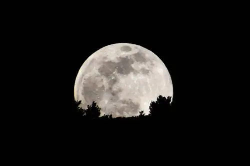 Вот ваш шанс выиграть участок земли на Луне