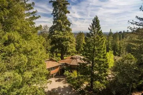 Juju Paradise Redwoods Retreat недалеко от Санта-Крус