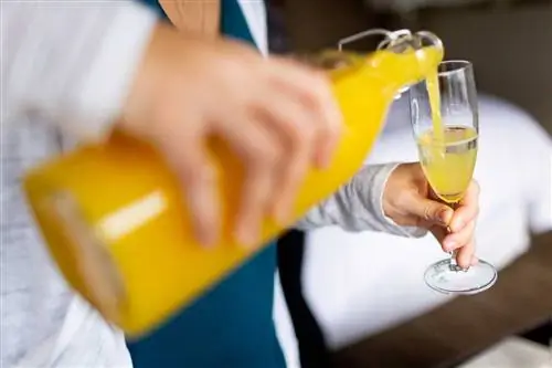 100 лучших ресторанов для бранчей по версии OpenTable