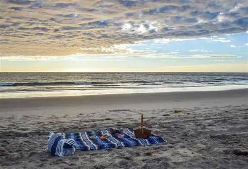 Пикник на пляже Carlsbad Beach Пикник на пляже Carlsbad Beach