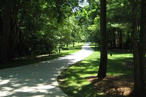 Зеленая трава и бетонная дорожка