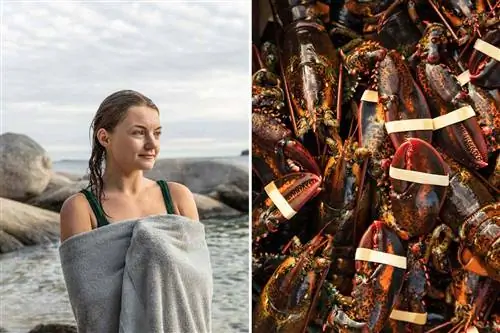 На фотографиях из штата Мэн запечатлен местный пляжник и куча омаров.