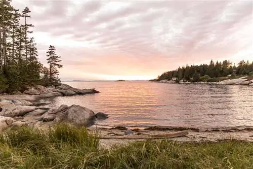 Испытайте настоящую жизнь от фермы к столу в кулинарном путешествии по побережью штата Мэн