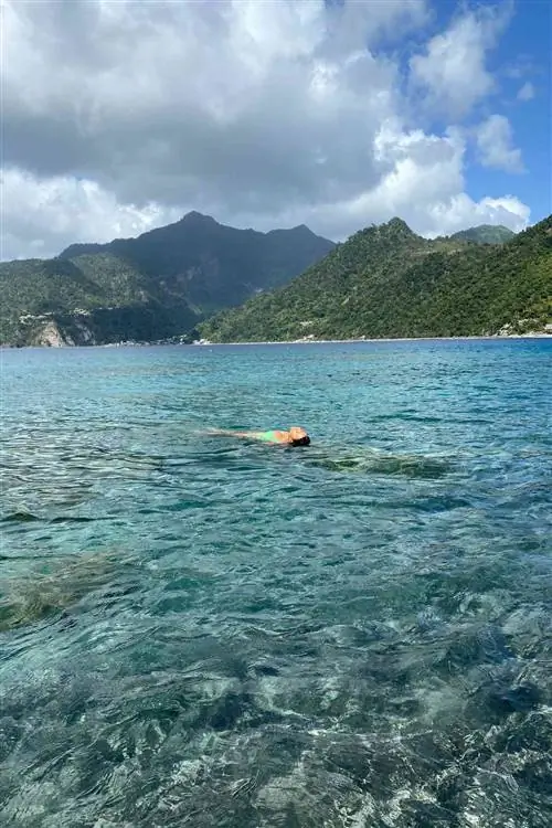 Метанойя З. Уэбб в воде