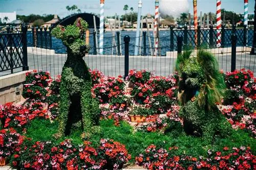 Топиарии Lady & The Tramp на EPCOT