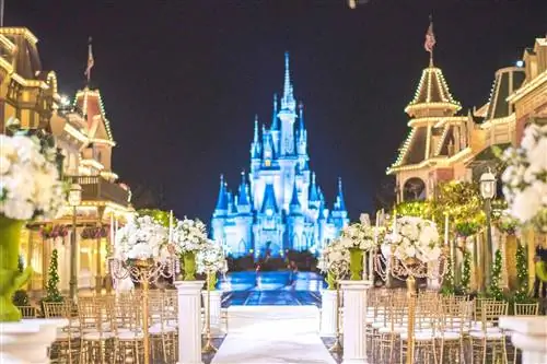 Свадебная церемония перед замком Золушки в Волшебном королевстве W alt Disney World
