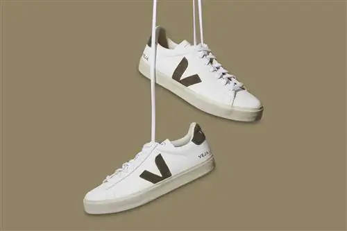 Кроссовки Veja