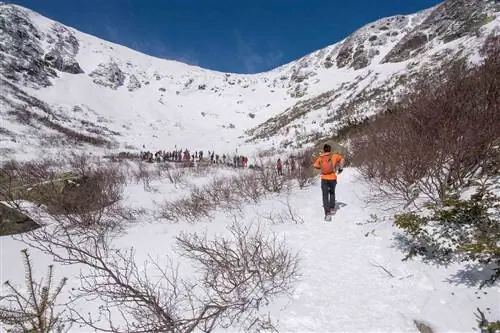 Беговые лыжи