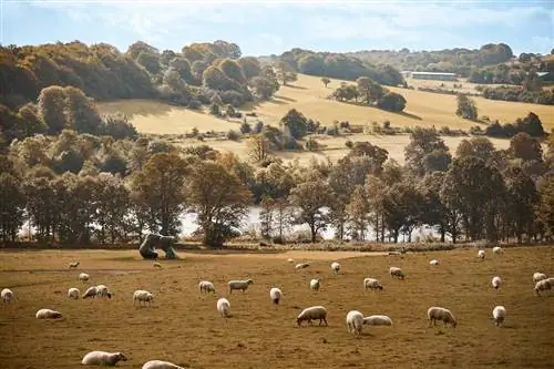 Наслаждайтесь пабами, парками скульптур и классическими поместьями в живописном путешествии по Йоркширу, Англия