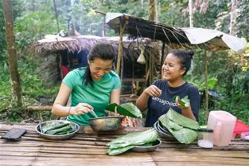 Производство риса в районе Гомбак, Малайзия.