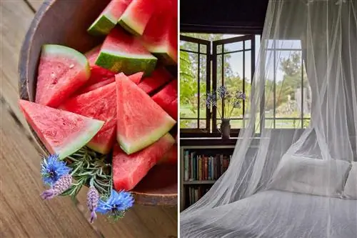 Фотографии из коттеджа Малу Ману на Мауи, включая ломтики свежего арбуза и кровать с балдахином в спальне коттеджа.