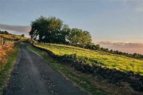 Откройте для себя более медленную сторону Мауи в путешествии по сердцу острова