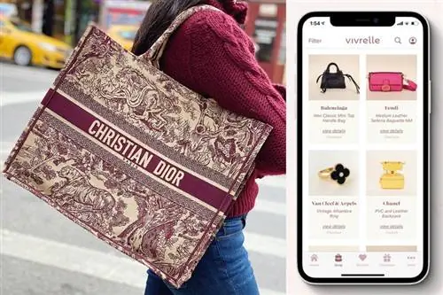 Сумка Christian Dior, приложение Vivrelle