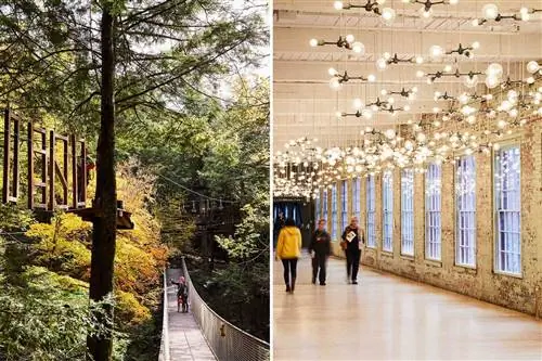 Сцены из Беркшира: воздушная полоса препятствий в лесу в Ramblewild и подвесная световая арт-инсталляция в Mass MoCA.