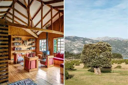 Интерьер отеля и дерево в Айсене, Чили