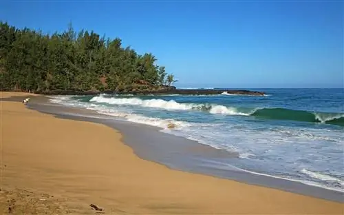 Пляж Лумахай, Гавайи