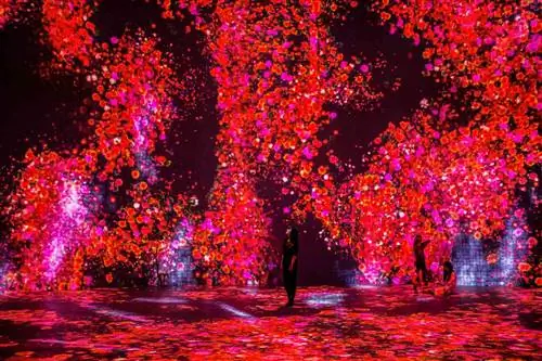 teamLab, Цветы и люди, нельзя контролировать, но жить вместе - выходя за границы, Целый год за час, 2017